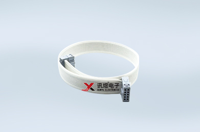 （1）蘇州訊煜電子,1.27 潔凈超薄運(yùn)動(dòng)排線（4000萬次）,（10芯）訊煜1.27 ePTFE IDC運(yùn)動(dòng)超薄排線<br/>潔凈等級達(dá)IPA Class1_205
